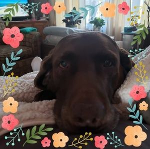 Meet your Posher, Karla